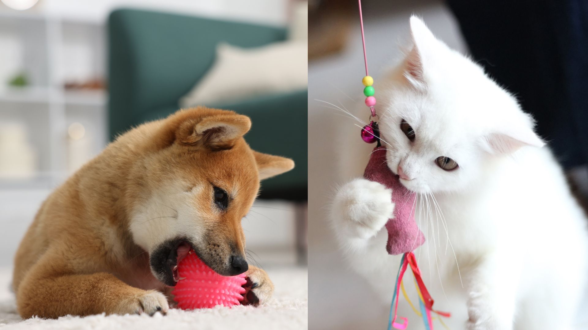 Edible chews products for pet