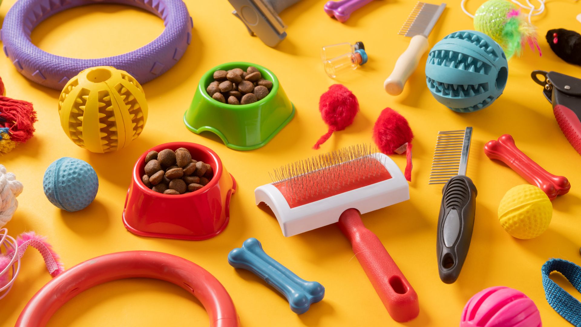 Pet Accessories Import from China